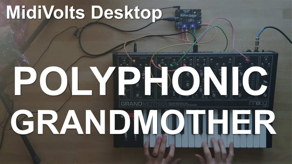 Polyphonic Modular Cables MidiVolts Modular - Polyphonic 4 Voice Midi to CV Controller – Space ...