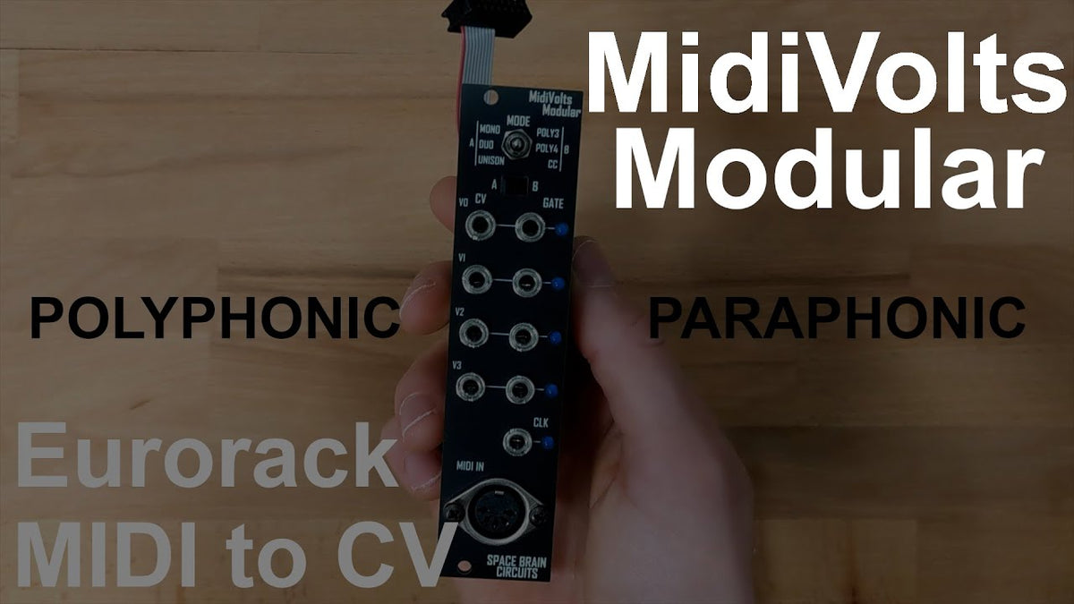 Polyphonic Modular Cables MidiVolts Modular - Polyphonic 4 Voice Midi to CV Controller – Space ...